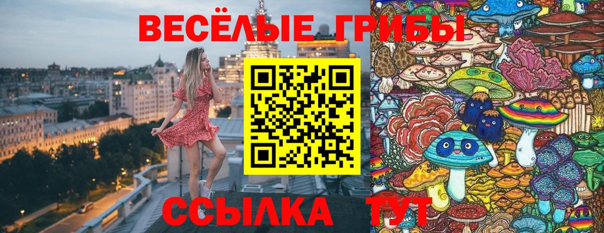 Псилоцибиновые грибы Psilocybine cubensis Вятские Поляны